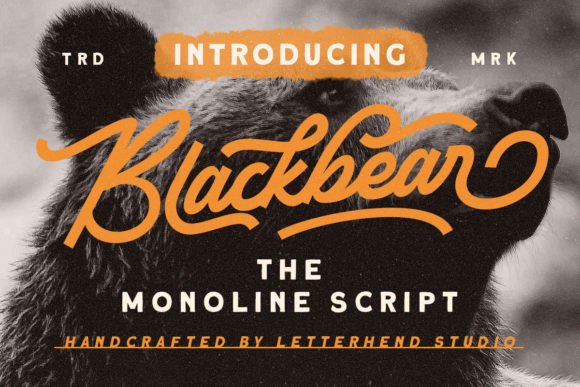Blackbear: The Script Font That Elevates Small Business Branding