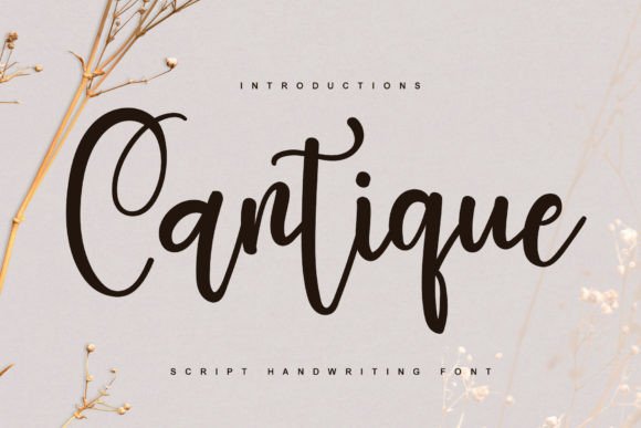 Cantique: The Handwritten Typeface That Elevates Every Campaign